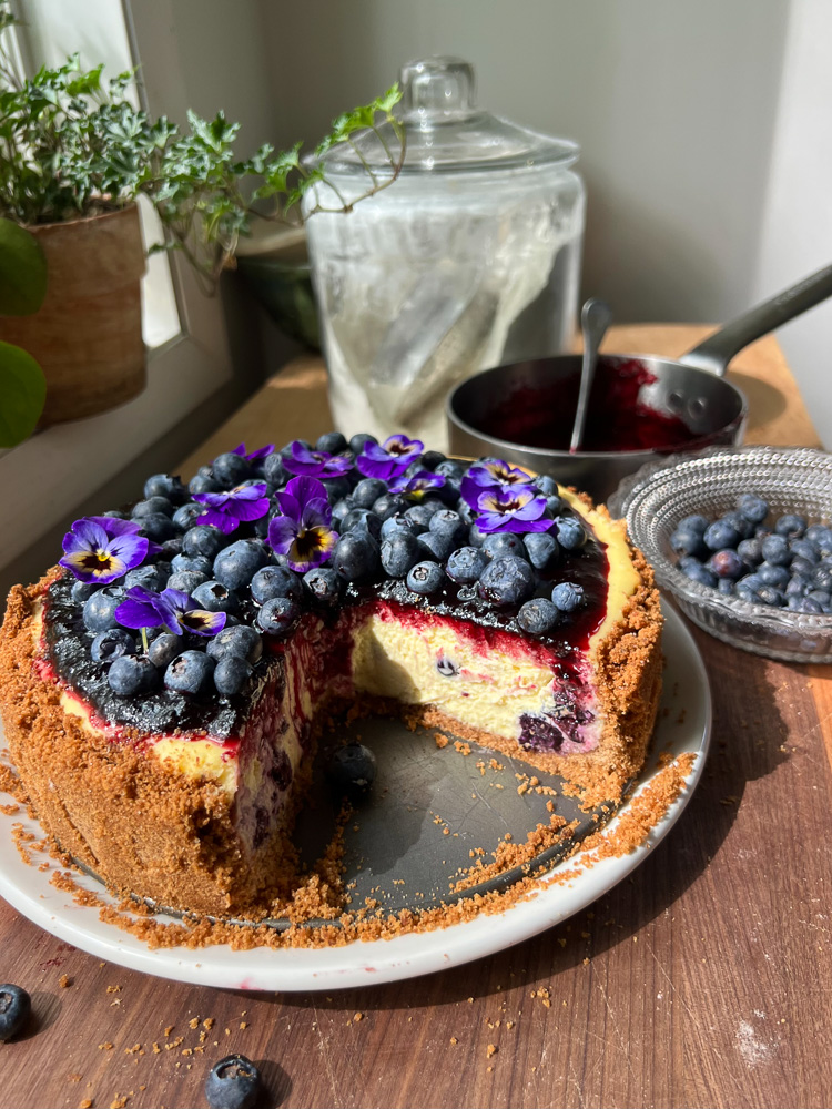 blueberry-cheesecake-4